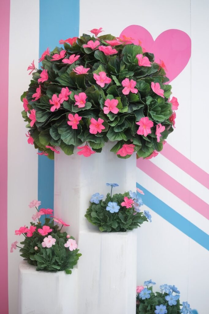 Creative Plant Displays Creative Plant Displays