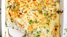 Chicken Alfredo Lasagna