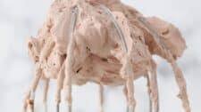 Chocolate Whipped Cream