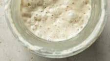 Easy Beginner Sourdough Starter Recipe