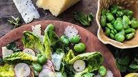 Fava Bean, Mint and Manchego Salad