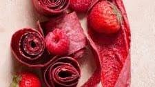 Healthy Fruit Roll Ups