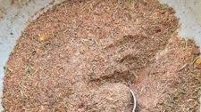 Homemade Jamaican Jerk Seasoning