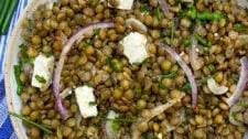 Ottolenghi's Lentil Salad with Herbs
