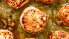 Seared Scallops